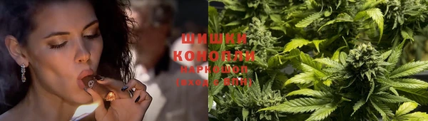 амф Бронницы