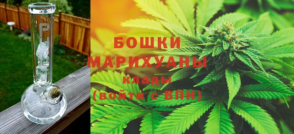 амф Бронницы