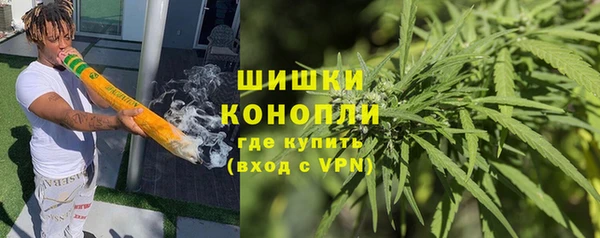 амф Бронницы