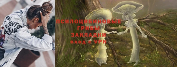 амф Бронницы